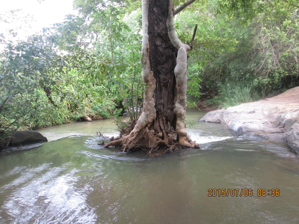 Sigiriya River Side Resort Bagian luar foto