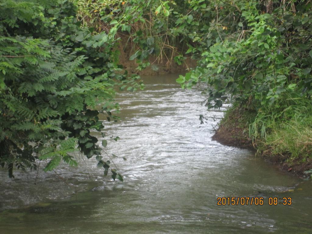Sigiriya River Side Resort Bagian luar foto