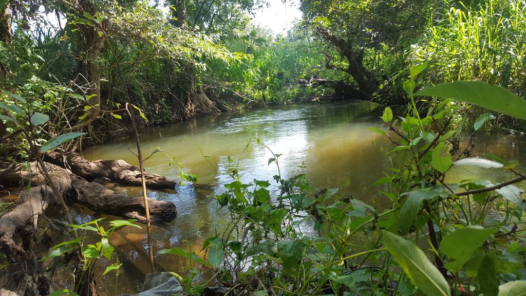 Sigiriya River Side Resort Bagian luar foto