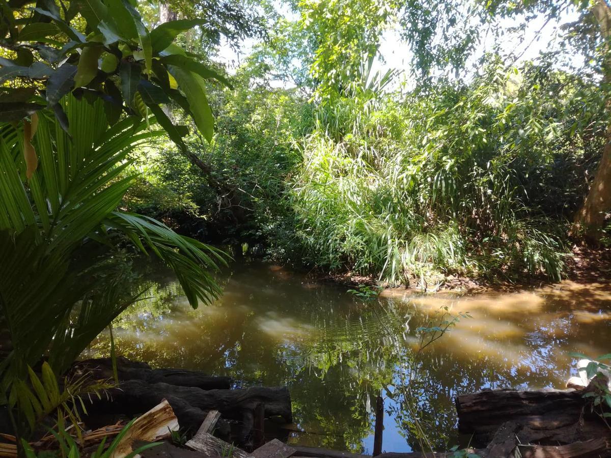 Sigiriya River Side Resort Bagian luar foto